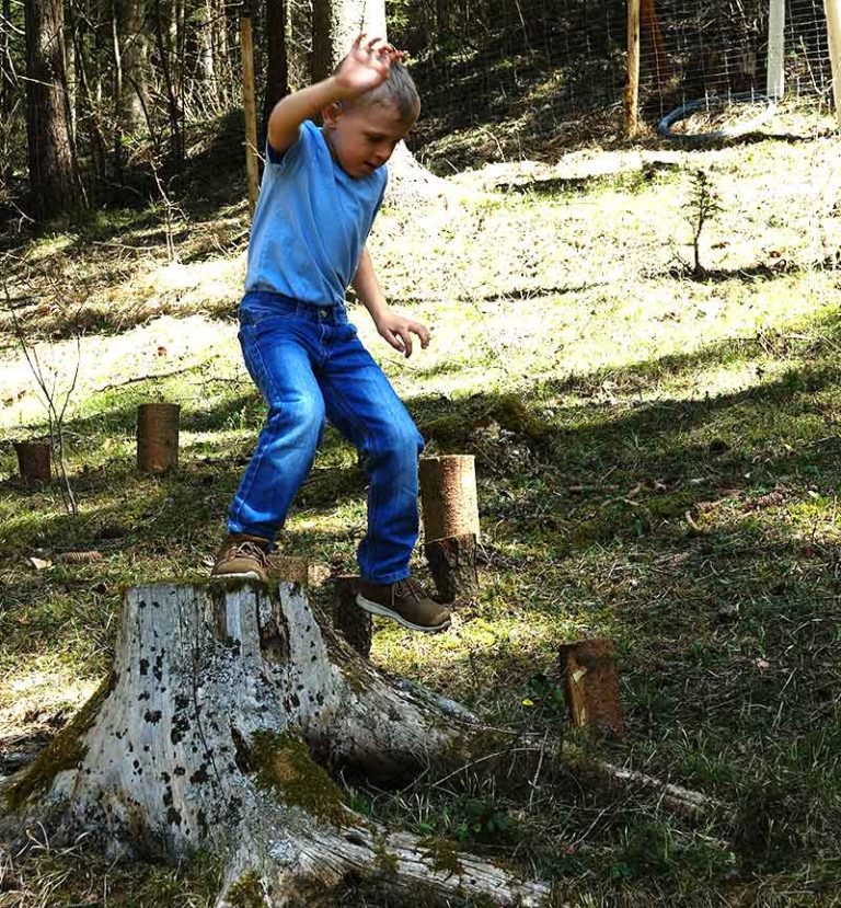  Wald- und Erlebnispädagogik - Wald- & Erlebnispädagogik, Stanz im Mürztal Motiv 